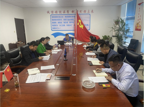 安徽永匯電力公司黨支部召開會(huì)議部署以實(shí)際成效落實(shí)好二十大精神