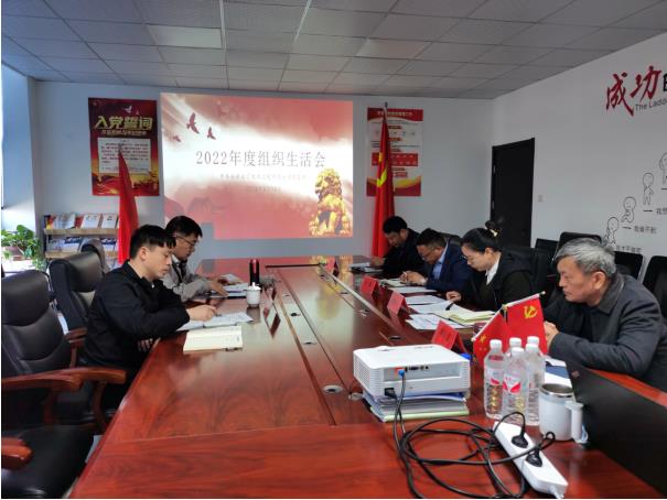 安徽永匯電力工程有限公司黨支部召開組織生活會(huì)